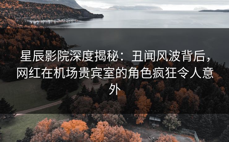 星辰影院深度揭秘：丑闻风波背后，网红在机场贵宾室的角色疯狂令人意外