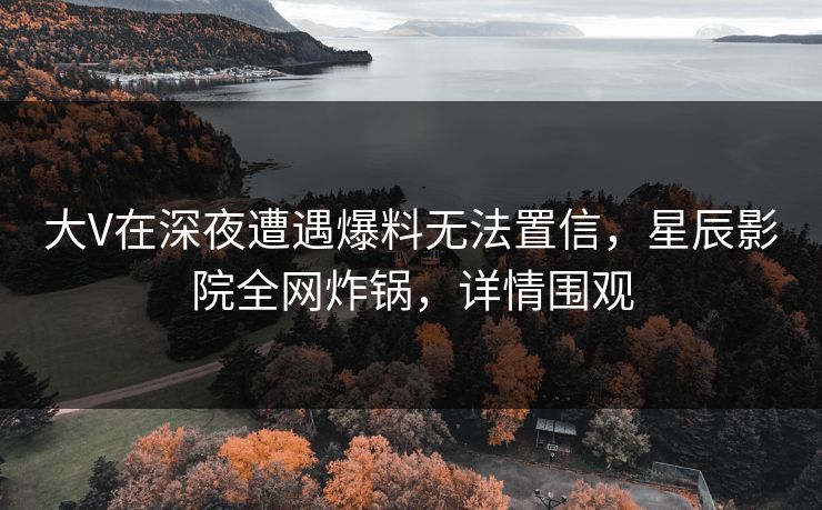 大V在深夜遭遇爆料无法置信，星辰影院全网炸锅，详情围观